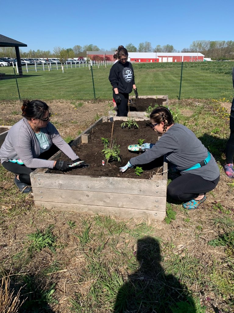 Planting in the raised beds at the Phelps Garden